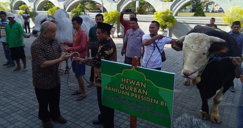 Jokowi Sumbang 2 Hewan Kurban Untuk Warga Yogya